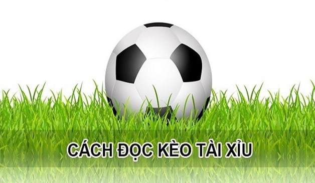 Cách đọc kèo bóng đá tài xỉu 0,5