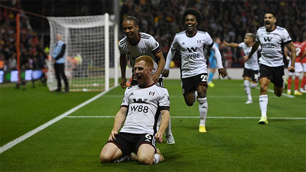 Một số thông tin về câu lạc bộ Fulham